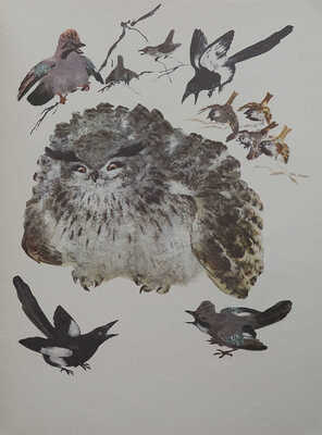 Чарушин Е.И. Болтливая сорока / Рис. автора. 3-е изд. Л.: Художник РСФСР, 1975.